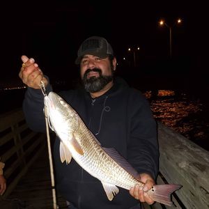 Meet your Posher, Raul javier